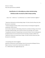 Identification of a chlorodibenzo-p-dioxin dechlorinating Dehalococcoides mccartyi by stable isotope probing