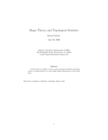 Shape theory and topological statistics