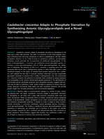 Caulobacter crescentus adapts to phosphate starvation by synthesizing anionic glycoglycerolipids and a novel glycosphingolipid