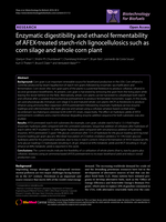 Enzymatic digestibility and ethanol fermentability of AFEX-treated starch-rich lignocellulosics such as corn silage and whole corn plant