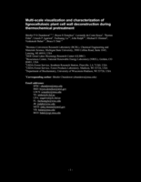 Multi-scale visualization and characterization of lignocellulosic plant cell wall deconstruction during thermochemical pretreatment