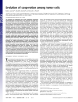 Evolution of cooperation among tumor cells