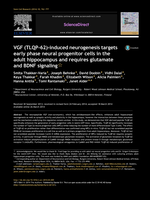 VGF (TLQP-62)-induced Neurogenesis Targets Early Phase Neural Progenitor Cells in the Adult Hippocampus and Requires Glutamate and BDNF Signaling
