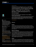 Unilateral partial nephrectomy with warm ischemia results in acute Hypoxia inducible factor 1-alpha (HIF-1α) and toll-like receptor 4 (TLR4) overexpression in a porcine model