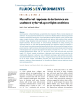 Mussel larval responses to turbulence are unaltered by larvalage or light condition