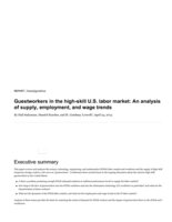 Guestworkers in the High-Skill U.S. Labor Market: An Analysis of Supply, Employment, and Wage Trends