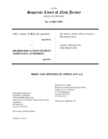 Brief and Appendix of Appellant A.Z.