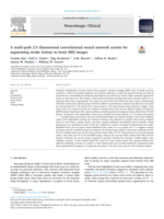 A multi-path 2.5 dimensional convolutional neural network system for segmenting stroke lesions in brain MRI images