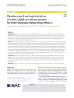 Development and optimization of a microbial co-culture system for heterologous indigo biosynthesis