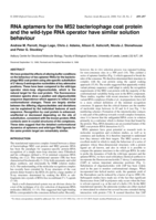 RNA aptamers for the MS2 bacteriophage coat protein and the wild-type RNA operator have similar solution behaviour