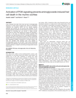 Activation of PI3K signaling prevents aminoglycoside-induced hair cell death in the murine cochlea