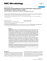 Detection and quantification of Lyme spirochetes using sensitive and specific molecular beacon probes