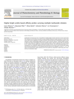 Highly bright avidin-based affinity probes carrying multiple lanthanide chelates