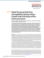 Rapid pyrazinamide drug susceptibility testing using a closed-tube PCR assay of the entire pncA gene