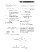 Highly selective nucleic acid amplification primers