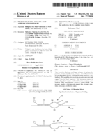 Highly selective nucleic acid amplification primers