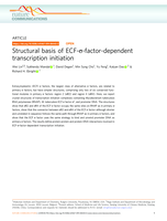 Structural basis of ECF-σ-factor-dependent transcription initiation
