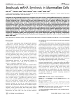 Stochastic mRNA synthesis in mammalian cells