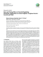 Rate and timing effects of growth regulating herbicides applications on grain sorghum (Sorghum bicolor ) growth and yield