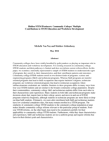 Hidden STEM producers: community colleges' multiple contributions to STEM education and workforce development