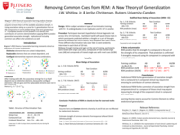 Removing common cues from REM: a new theory of generalization