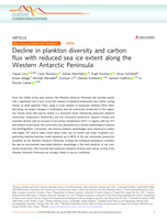 Decline in plankton diversity and carbon flux with reduced sea ice extent along the Western Antarctic Peninsula