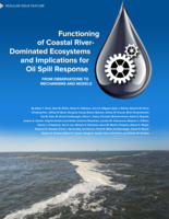Functioning of coastal river-dominated ecosystems and implications for oil spill response: from observations to mechanisms and models