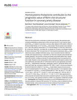 Homocysteine thiolactone contributes to the prognostic value of fibrin clot structure/function in coronary artery disease
