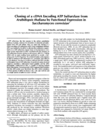 Cloning of a cDNA encoding ATP sulfurylase from Arabidopsis thaliana by functional expression in Saccharomyces cerevisiae