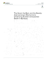 The good, the bad, and the deadly: adenosinergic mechanisms underlying sudden unexpected death in epilepsy