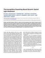 Thermocapillary dewetting-based dynamic spatial light modulator