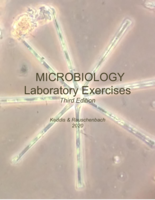 Microbiology laboratory exercises