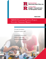 NJDOE Promising Practices Project: Executive Summary Report