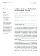 Getting to the heart of developmental toxicities
