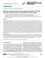 Micro and nanoplastic inhalation during pregnancy elicits uterine endothelial dysfunction in Sprague Dawley rats by impeding nitric oxide signaling
