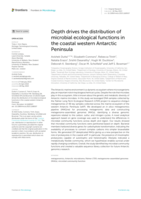 Depth drives the distribution of microbial ecological functions in the coastal western Antarctic Peninsula