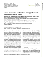 Climate-driven shifts in Southern Ocean primary producers and biogeochemistry in CMIP6 models
